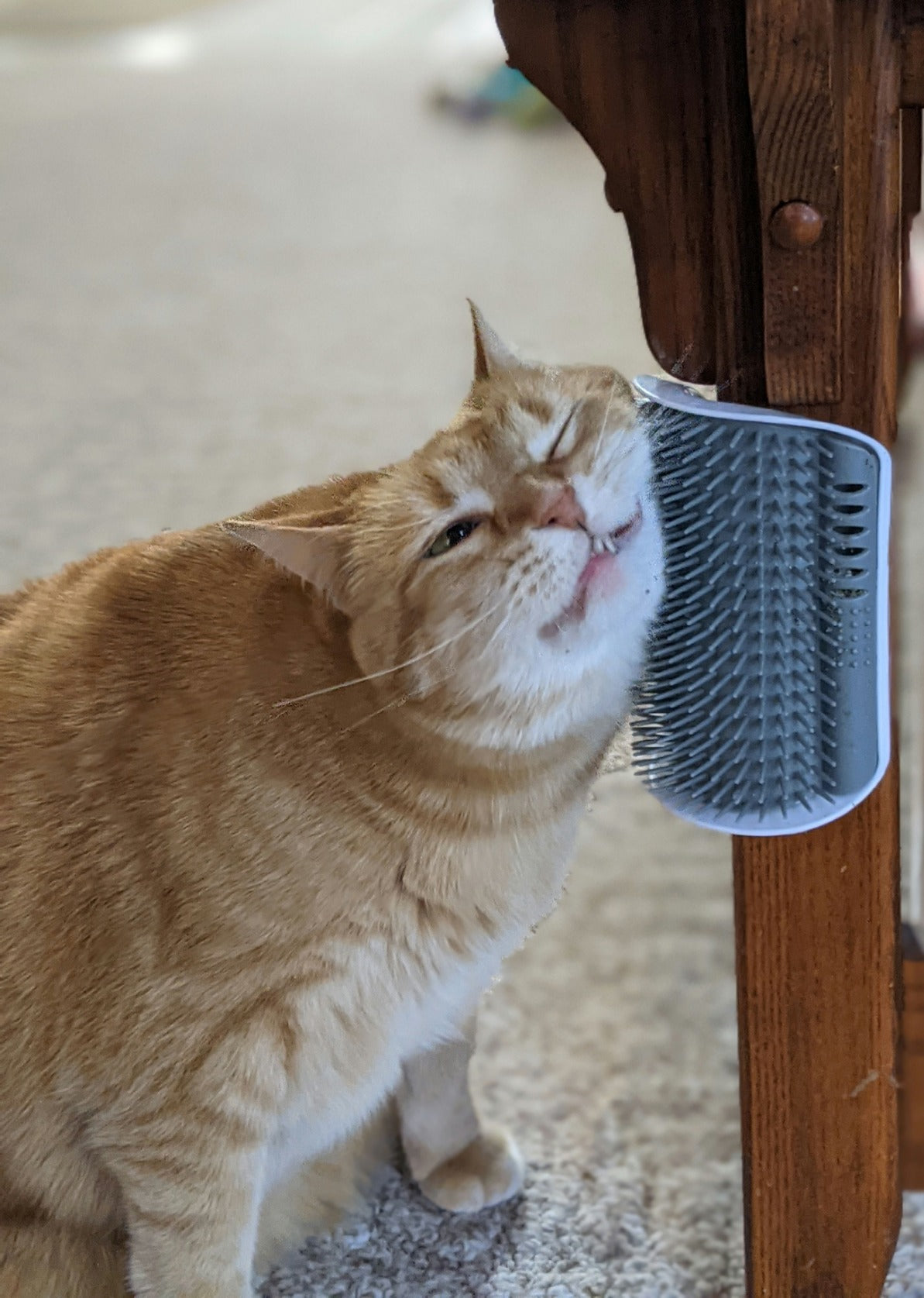 PurrLora™ Cat Corner Brush